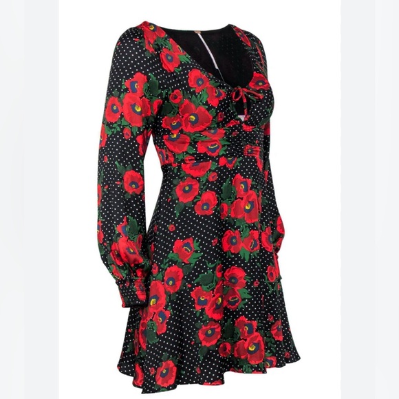 Free People - Black & Red Polka Dot & Floral Print Fit & Flare - Picture 1 of 6